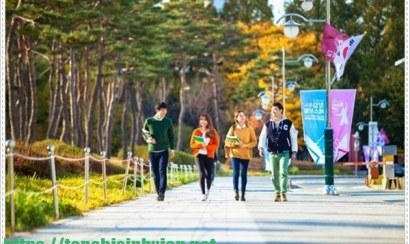 Du học Hàn Quốc ngành kinh tế