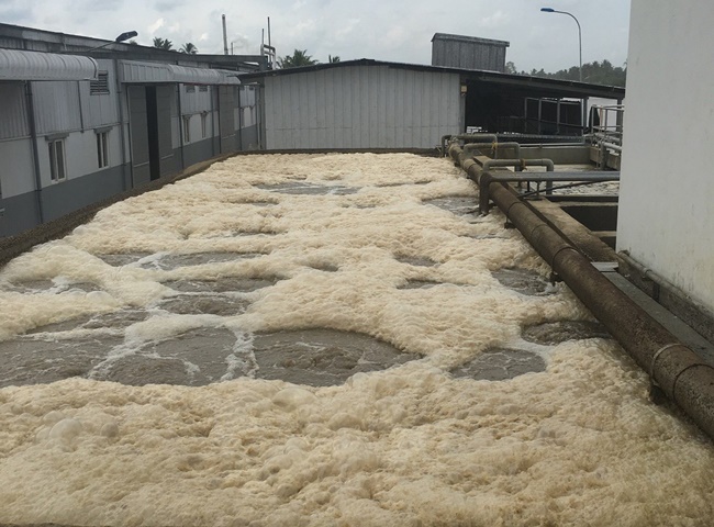 B&ugrave;n m&agrave;u n&acirc;u đen - Sự cố khi m&ocirc;i trường bể xấu