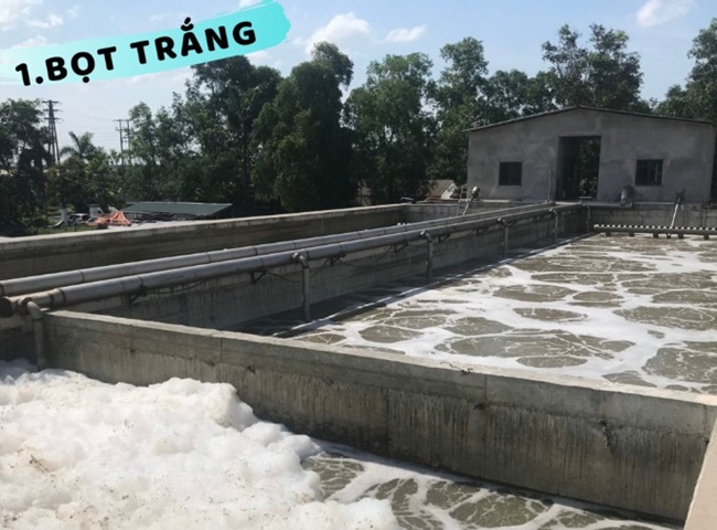 B&ugrave;n nổi bọt trắng - Sự cố ban đầu