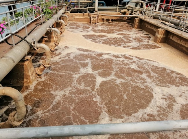 B&ugrave;n vi sinh hiếu kh&iacute; - C&aacute;c loại b&ugrave;n vi sinh