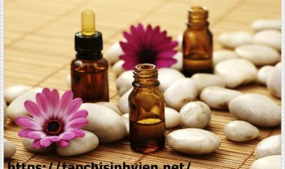 Bồn cầu bốc mùi hôi do đâu và cách khắc phục