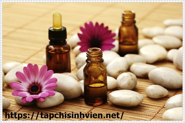 Khắc phục m&ugrave;i h&ocirc;i bồn cầu bằng tinh dầu