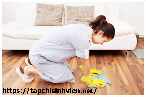 C&aacute;ch pha nước lau ch&ugrave;i nh&agrave; cửa an to&agrave;n cho b&agrave; bầu hiệu quả