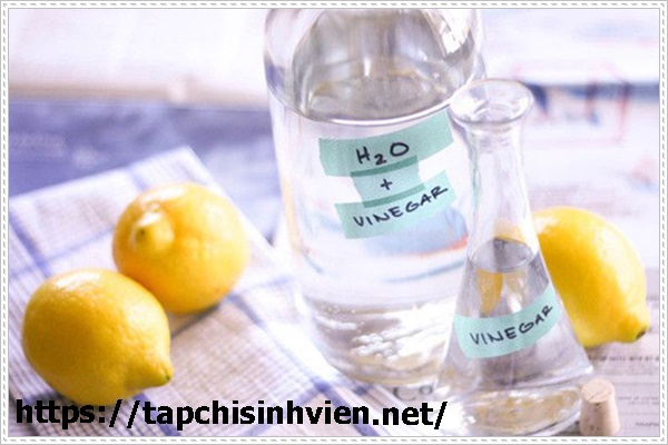 Khử m&ugrave;i h&ocirc;i nh&agrave; vệ sinh bằng chanh