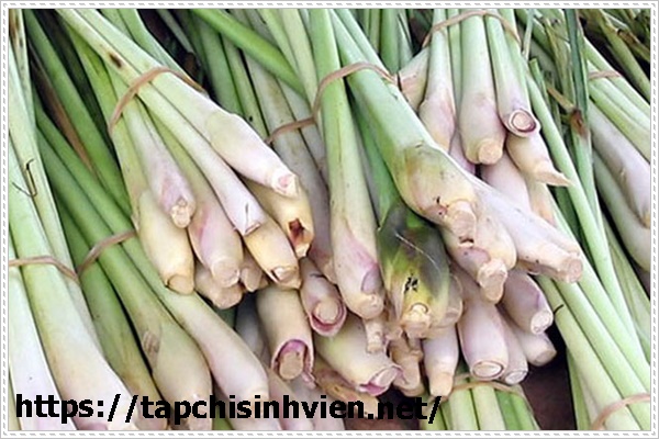 Khử m&ugrave;i h&ocirc;i nh&agrave; vệ sinh bằng sả