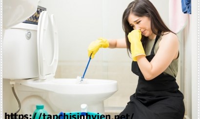 Cách khử mùi hôi nhà vệ sinh hiệu quả 2021