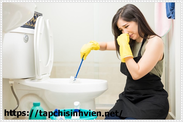 C&aacute;ch khử m&ugrave;i h&ocirc;i nh&agrave; vệ sinh