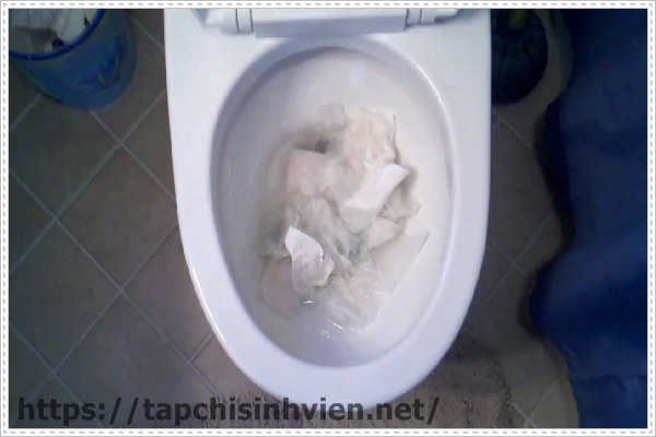 Bồn cầu bị nghẹt l&agrave; do đ&acirc;u