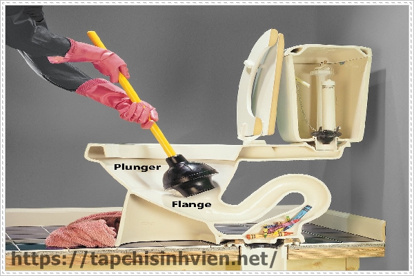 Bồn cầu bị tắc do những nguy&ecirc;n nh&acirc;n g&igrave;