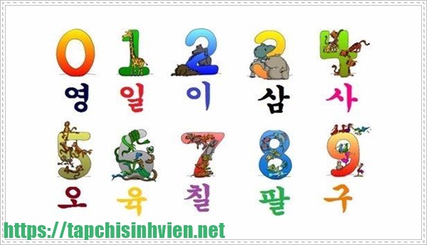 học tiếng H&agrave;n cho người mới bắt đầu