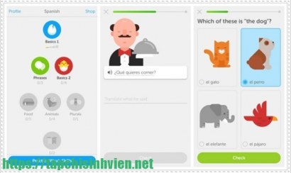 Những điều cần tránh khi học tiếng Pháp