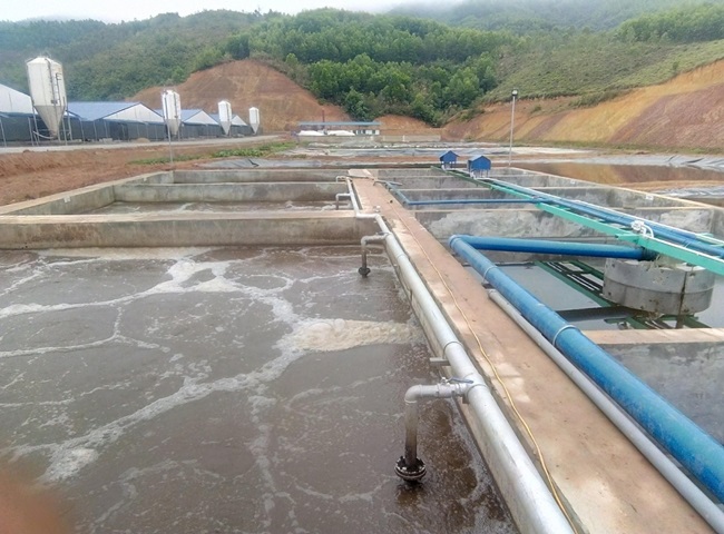 bùn vi sinh hoạt tính