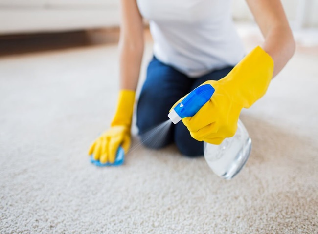 c&aacute;ch giặt thảm l&ocirc;ng tại nh&agrave;